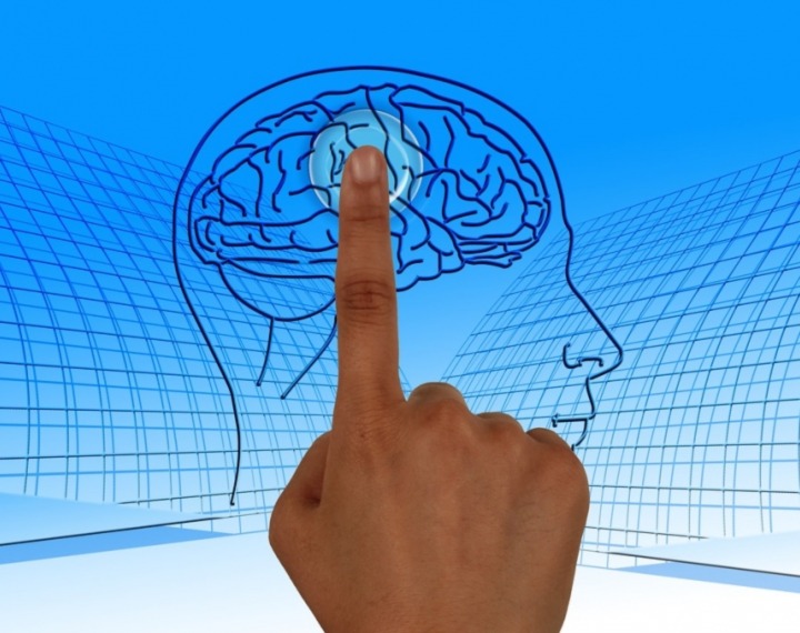 Dementia & Genetics brain