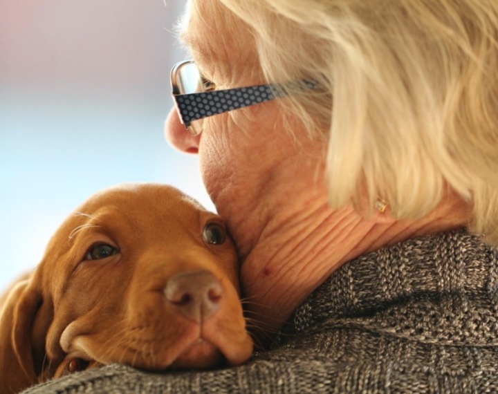 Senior with dog