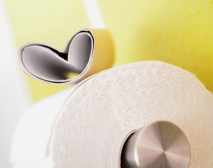 Toilet roll on holder