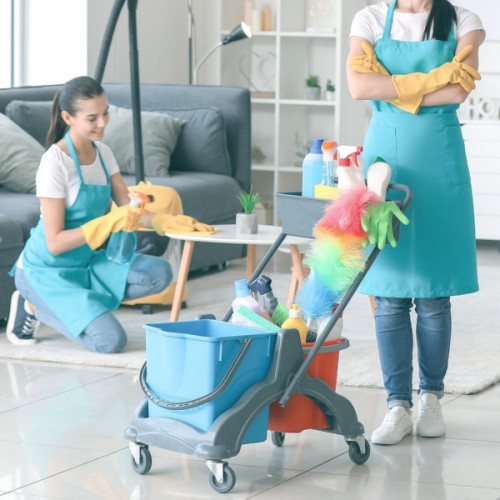 Cleaning Products