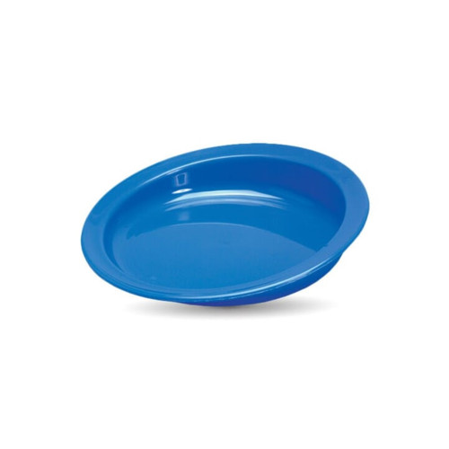 Blue Scoop Plate