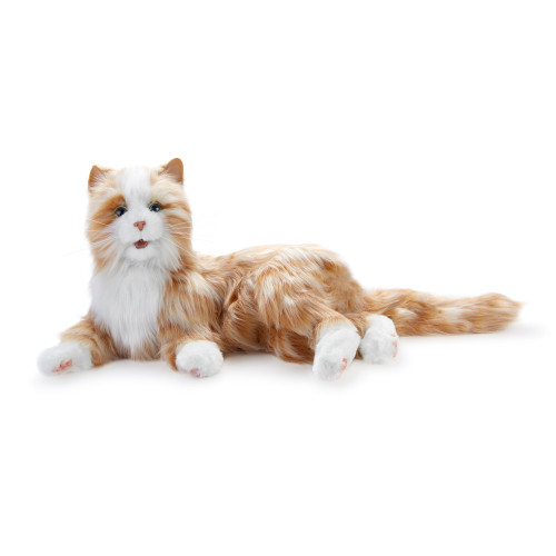 Hasbro cat joy for hot sale all