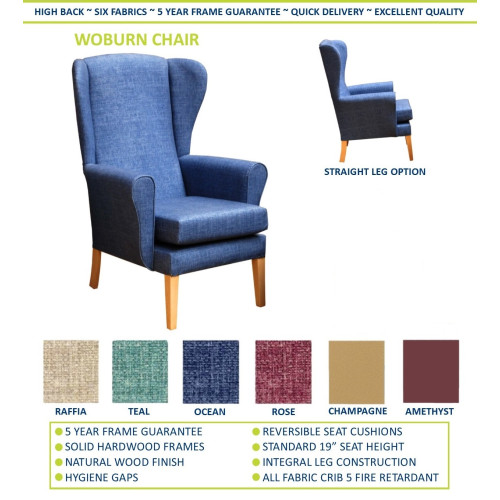 WOBURN Lounge Chair with Wings in Champagne Vinyl