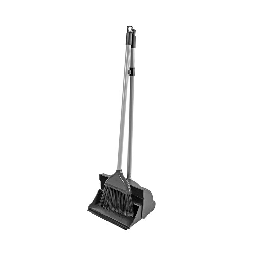 Lobby Dustpan & Brush