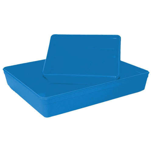 Blue Plastic Instrument Tray - 30x25cm