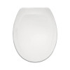 Replacement Toilet Seat - White